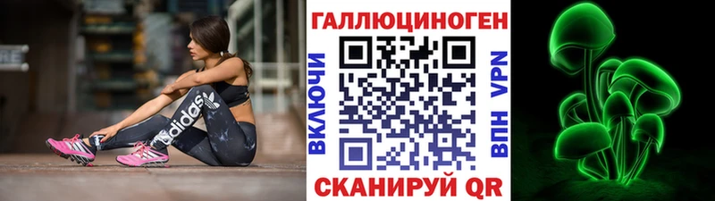 Псилоцибиновые грибы Cubensis  Сокол 