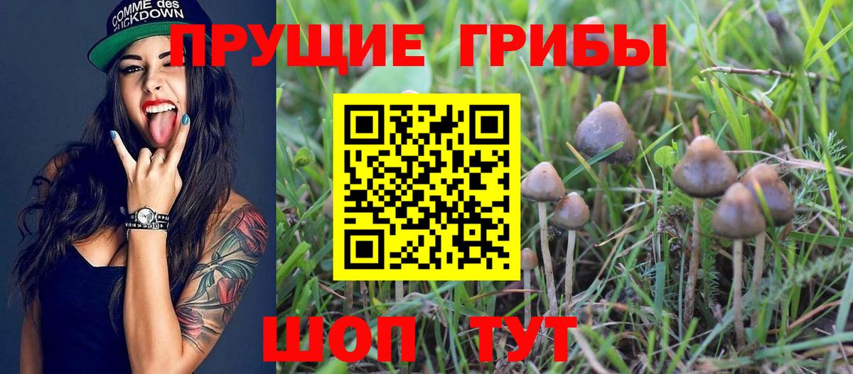 Псилоцибиновые грибы MAGIC MUSHROOMS Сокол